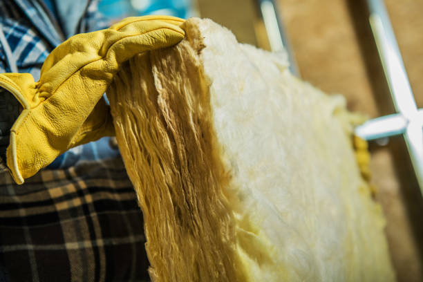 Best Insulation Installation Services in Henderson, NC
